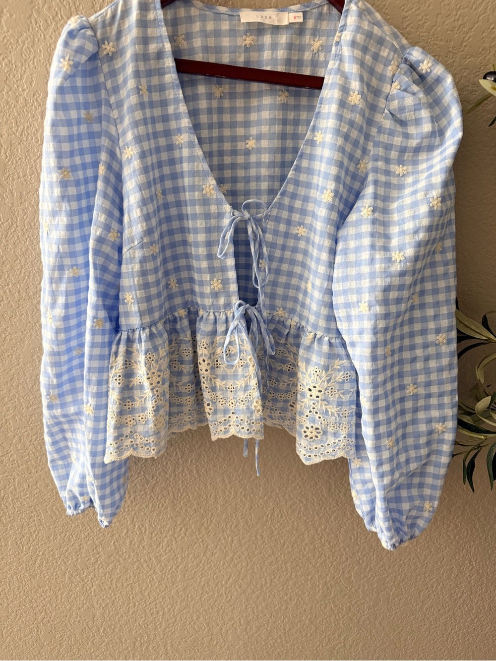 NWOT Lush Light Blue Gingham Tie-Front Peplum Blouse with White Embroidery M - Picture 5 of 9